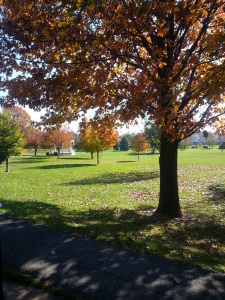 Park 1