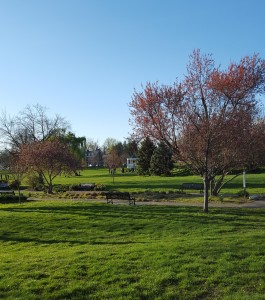Baker Park